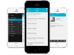 wordpress ios 7