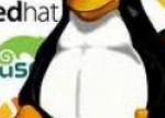 Come Utilizzare i Comandi Base di Linux