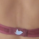 reggiseno Twitter