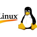 linux microsoft sviluppatori kernel